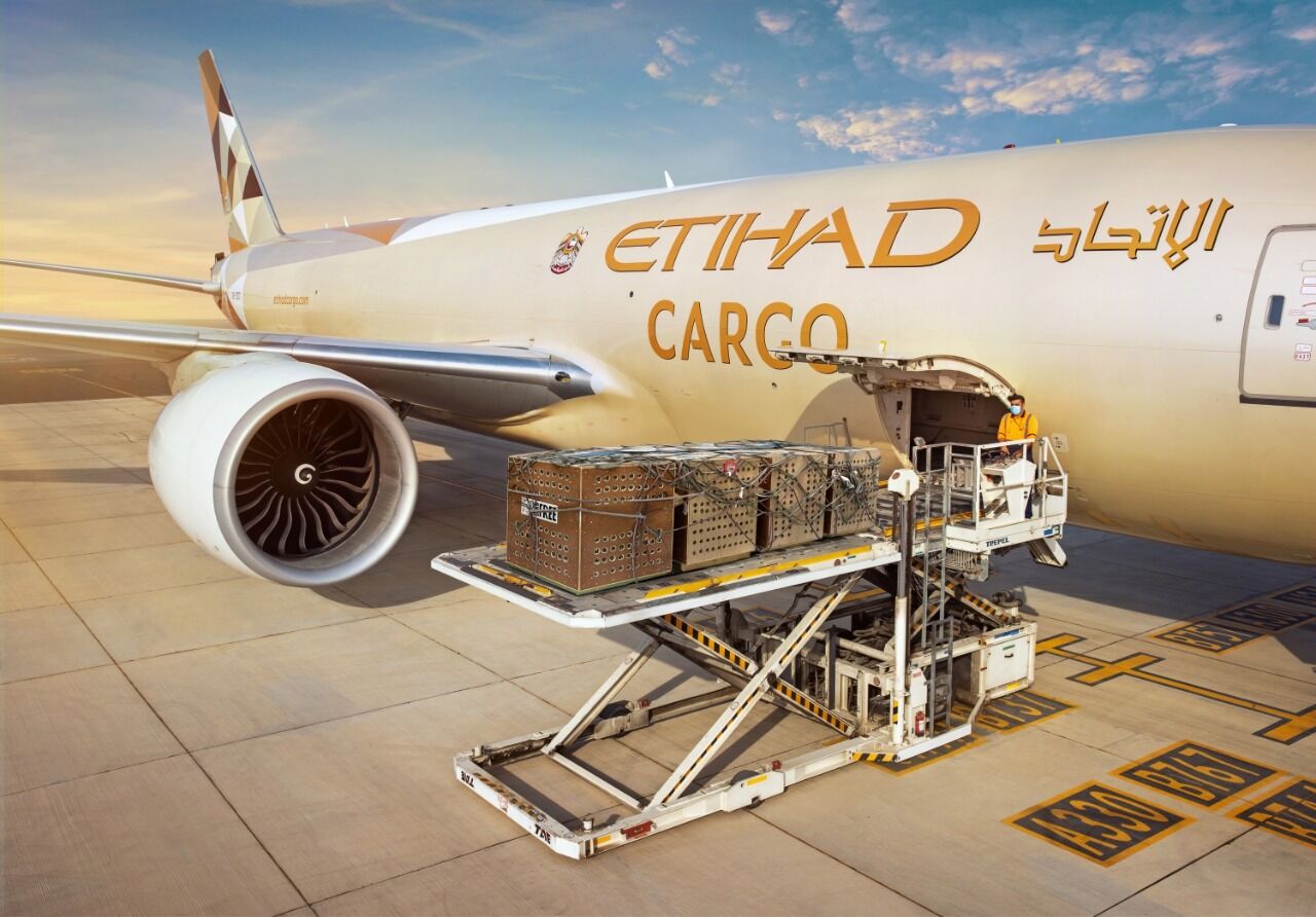 Etihad Cargo's revamped booking portal attracts surge in users and bookings