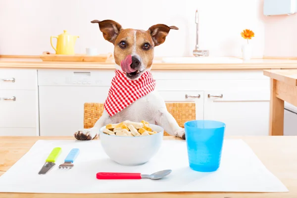 Acana Dog Food: Is this Dog Food the Best? - WBSOFTS