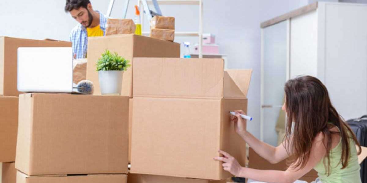 Hire the best Packers And Movers Bellandur now!