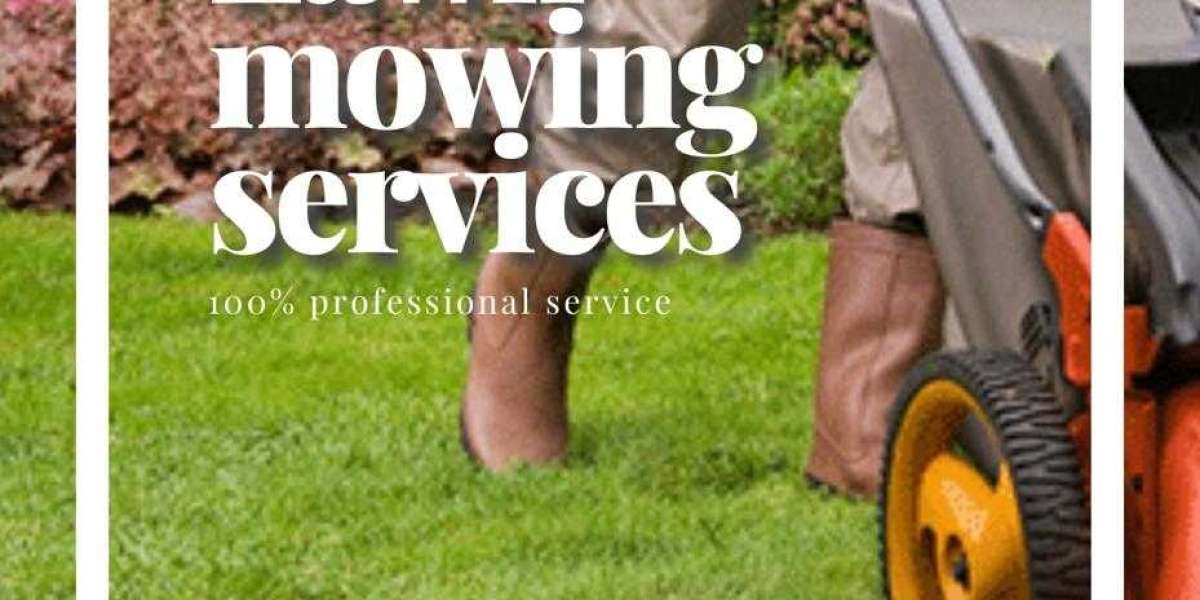 When is the best time to maintain your lawn?