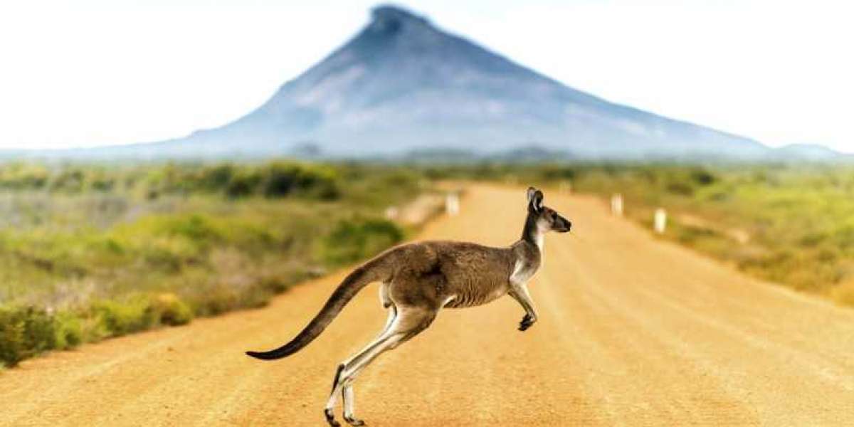 How to Plan a Trip to Australia: Step by Step