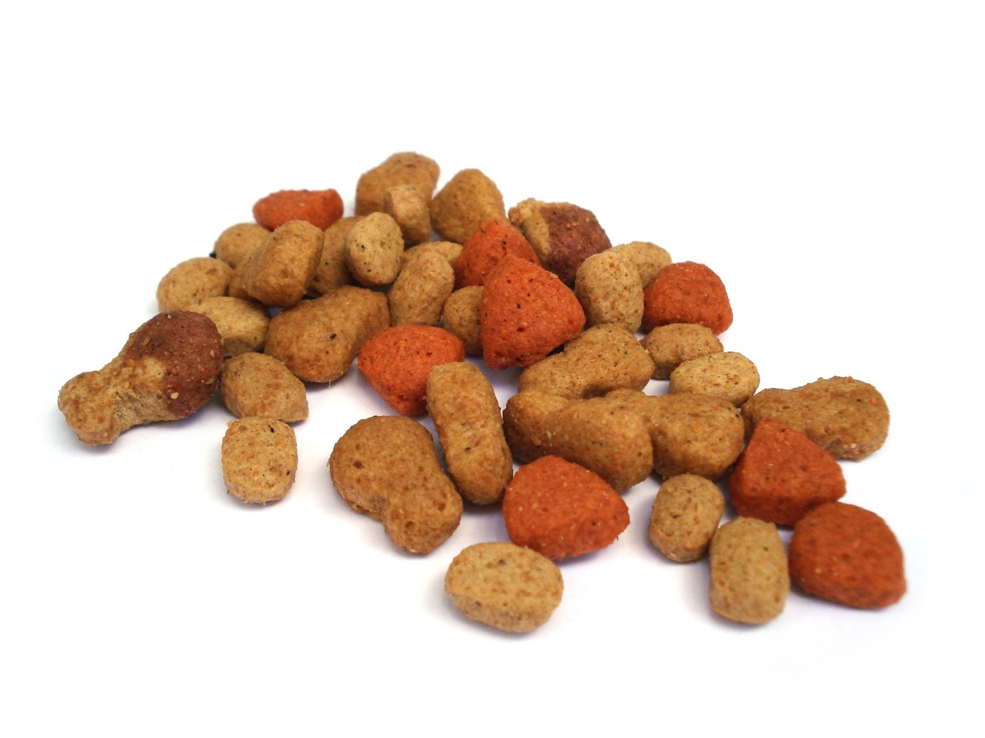 Raw Food for Dogs: Everything You Need To Know About Raw Feeding