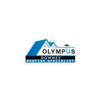 Olympus Roofing Specialist Profile Picture