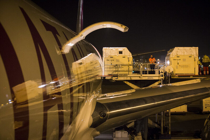 Diversity is Chapter 4 of Qatar Airways Cargo's WeQare