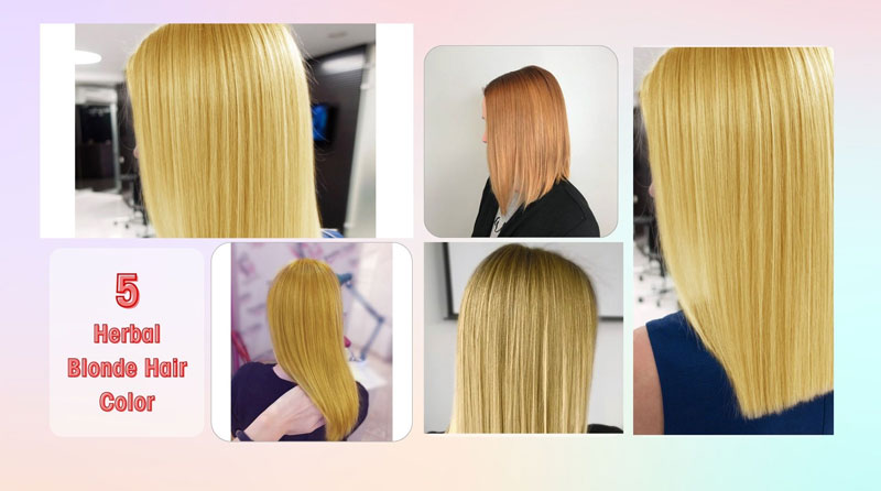 Get ready to flaunt beautiful blonde hair with Herbal Blonde Hair Color