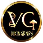 Vikingenes Profile Picture