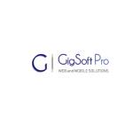 Gigsoft Pro profile picture