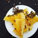 YRchannel Profile Picture