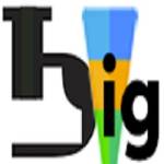 1BIG com Profile Picture