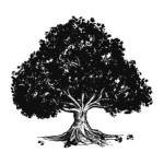 ParkWest Solutions Profile Picture
