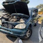 Rhyan Phi Profile Picture