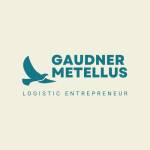Gaudner Metellus Profile Picture