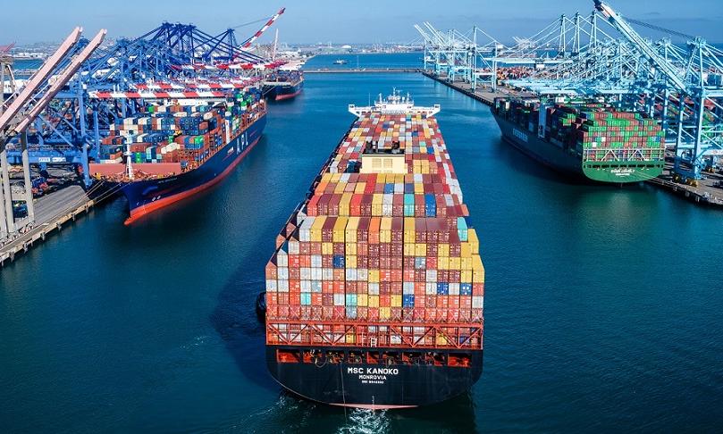 Capacity reductions  to be 22-28% on Transpacific: Sea-Intelligence