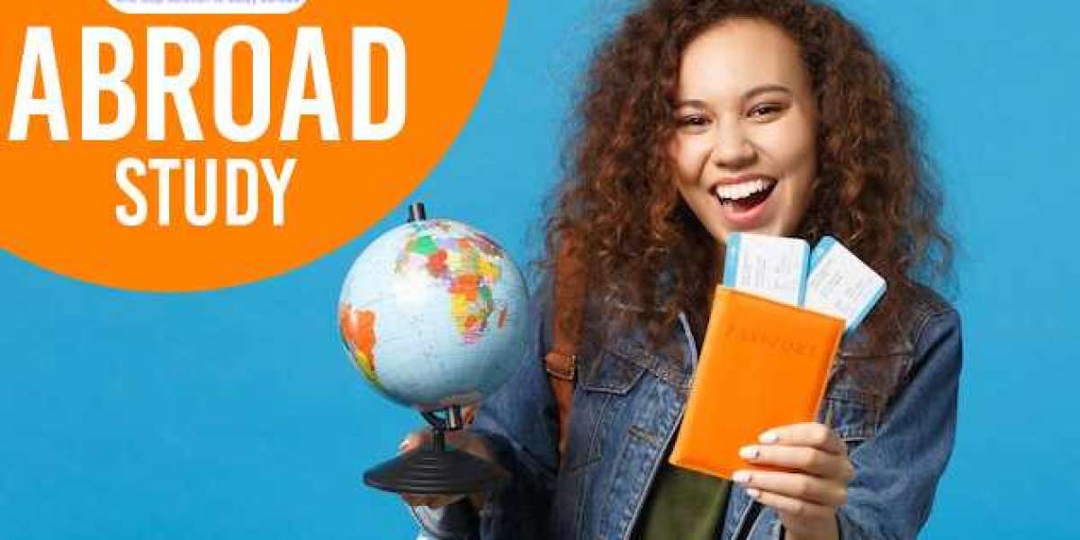 Where to Study Abroad In Australia? Top 5 Locations 