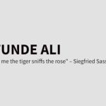 Habeeb tundeali Profile Picture