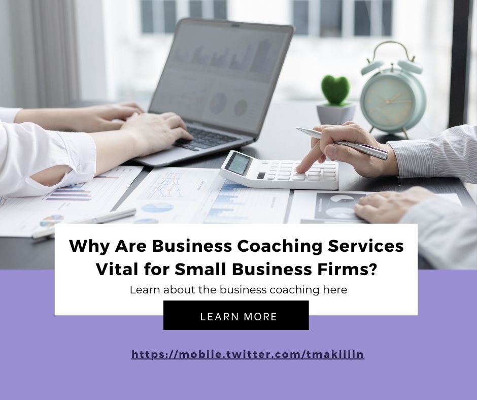 Why Are Business Coaching Services Vital for Small Business Firms? – Tim Mccallan