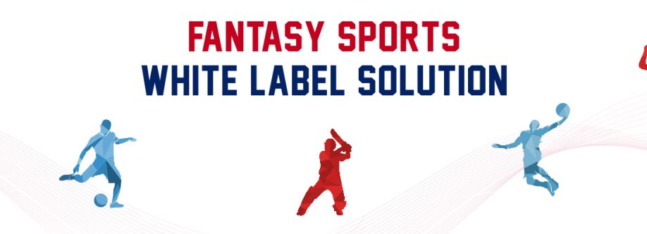 Fansportiz Fantasy Sports app development c Cover Image