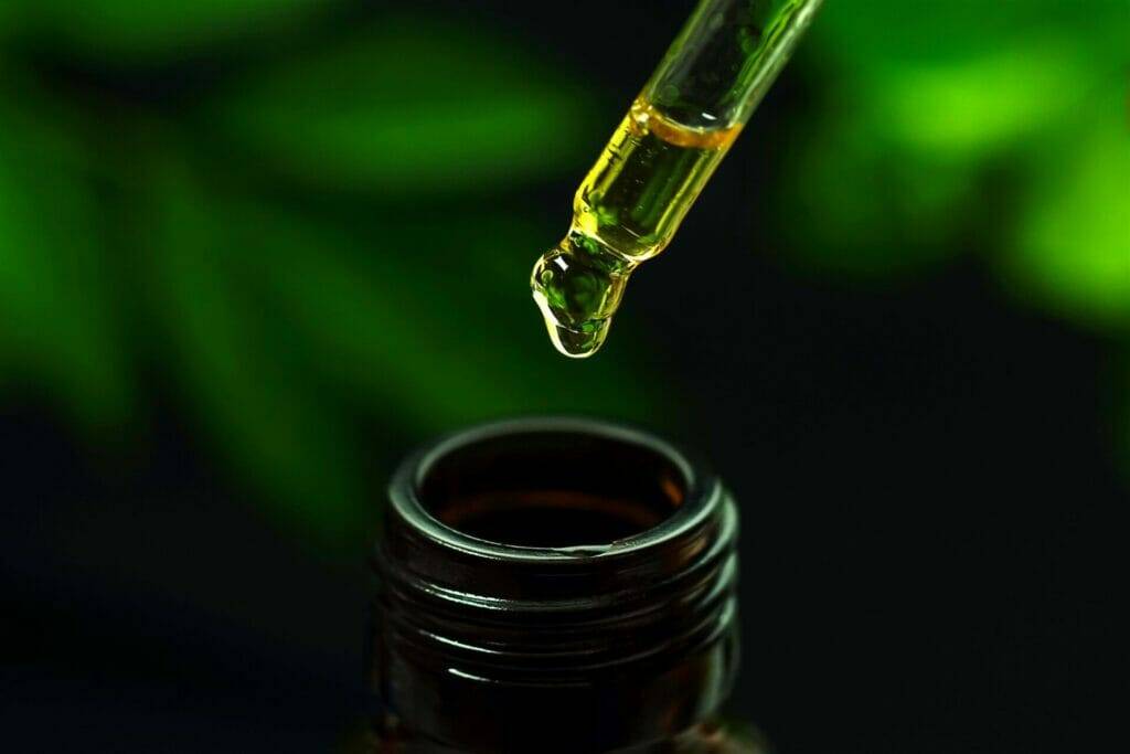 The Little Health Company  (Useful Tips That Will Help You in Taking CBD Oil...)