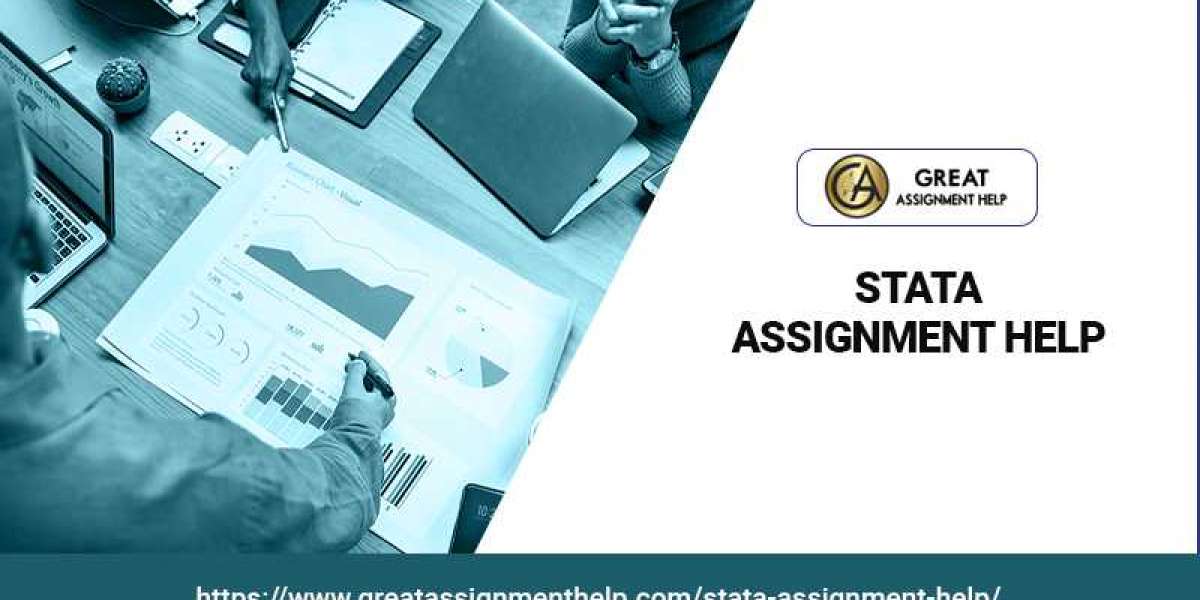Get the Best Stata Assignment Help from Experts