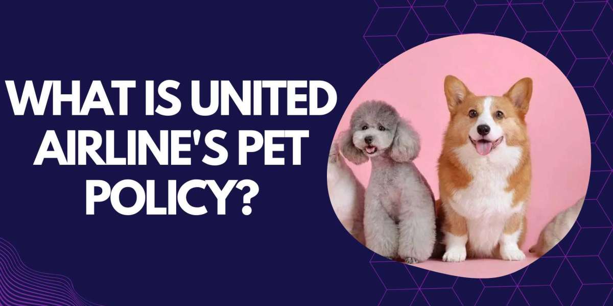 What is United airline's pet policy?
