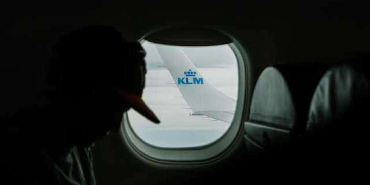 How much does KLM charge to change flights?