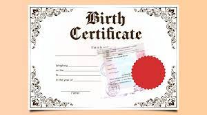 Apostille Birth Certification - Neo Media Lab