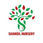 Shandil Nursery Profile Picture