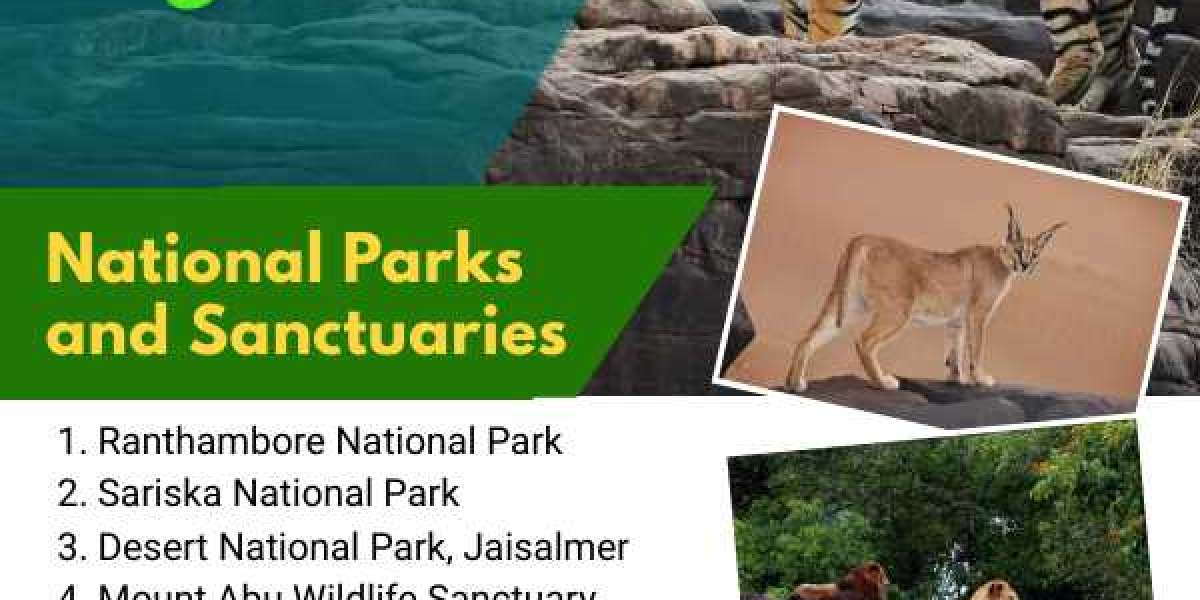 Top 10 National Parks in Rajasthan | Wildlife Sanctuaries in Rajasthan