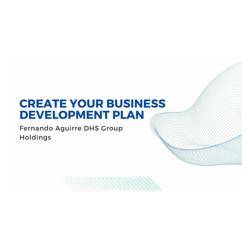 Plan Your Business Development: Fernando Aguirre DHS Group Holdings