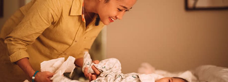 The Maternity Nurse Company Cover Image