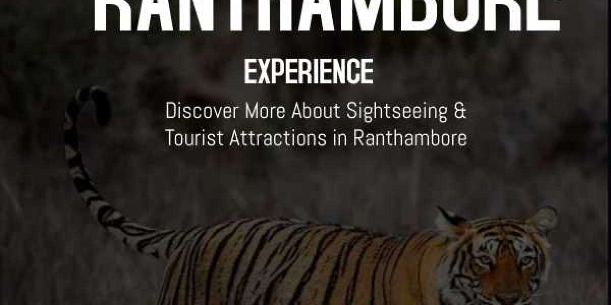Top 10 Things to Do In Ranthambore