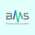 Bridgeway Medical Systems Profile Picture