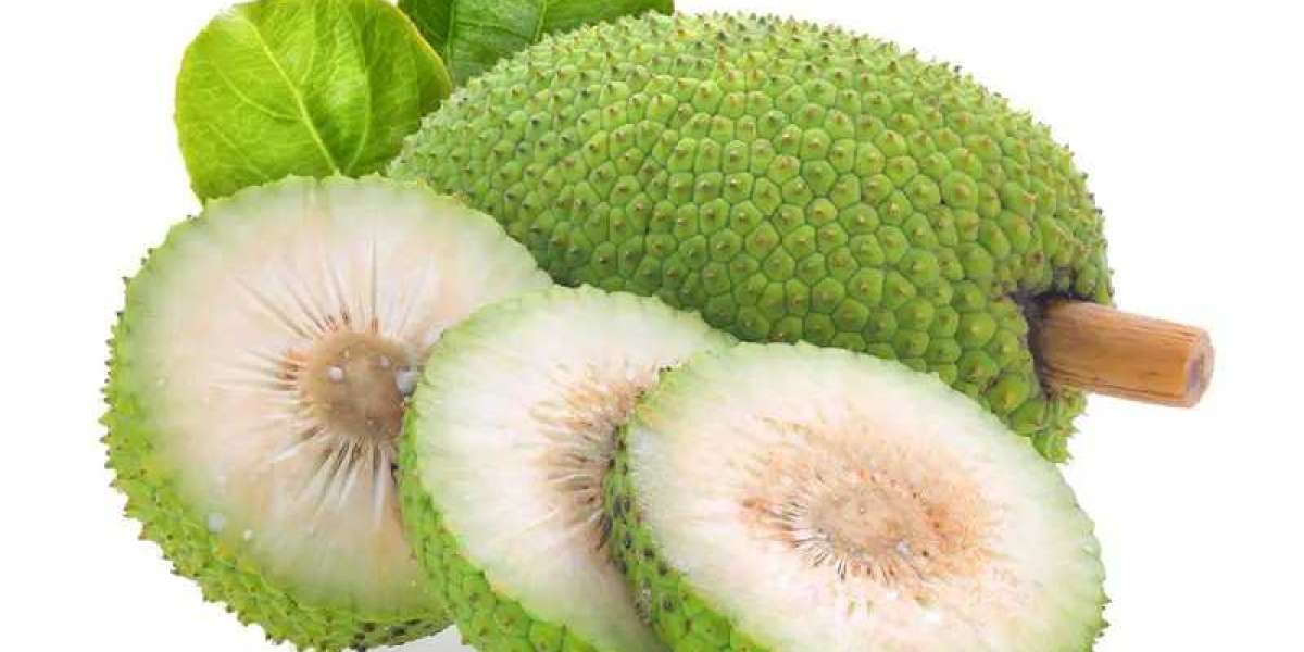 Breadfruit Nutritional Information And Health Benefits