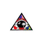 Black Force MMA profile picture