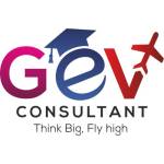Gev Consultant Profile Picture