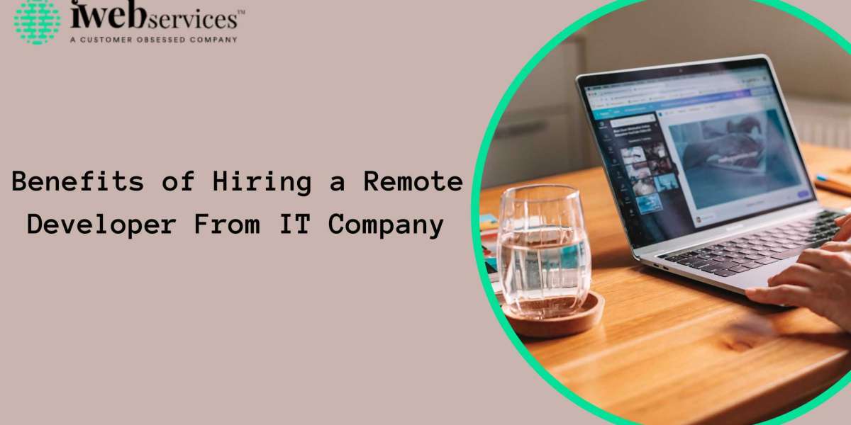 Benefits of Hiring a Remote Developer From IT Company