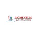 momentum profile picture