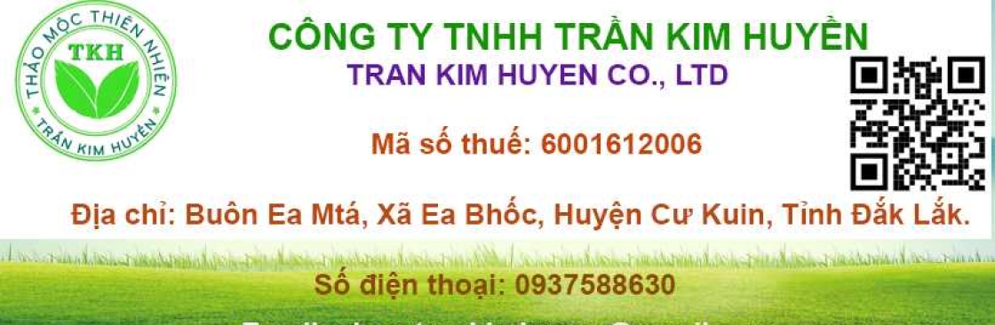 Trần Kim Huyền Cover Image