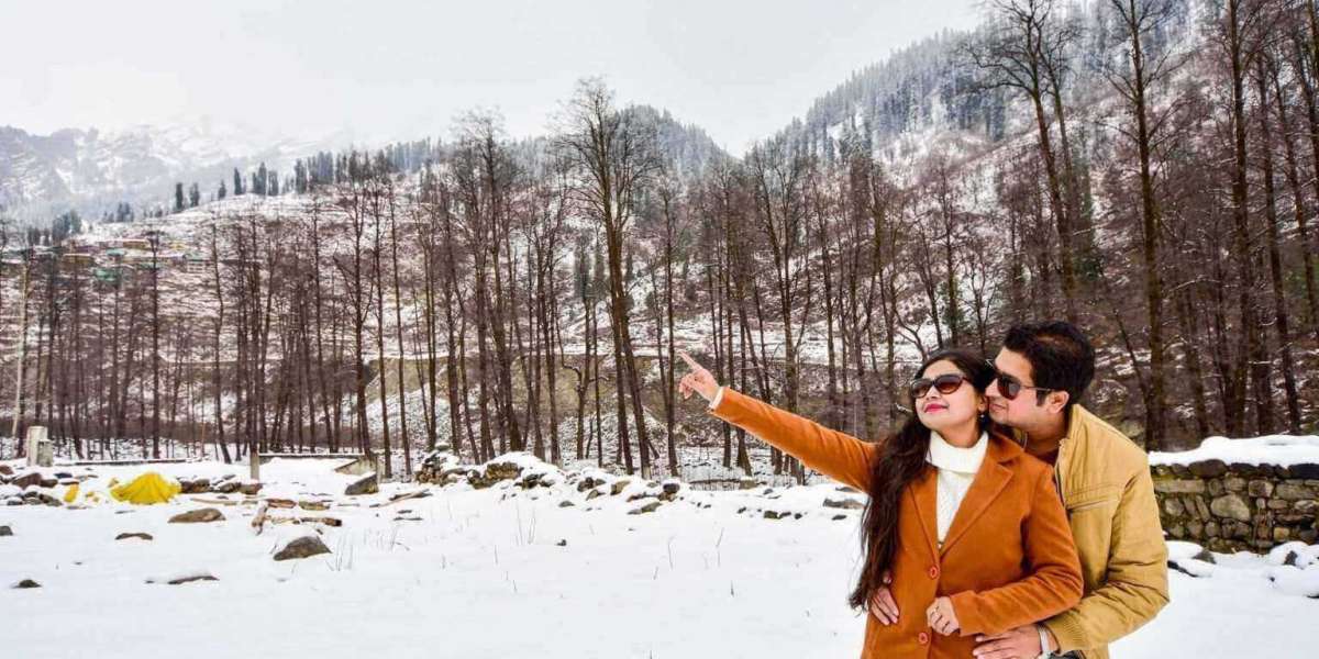 "Experience Romantic Bliss with Our Honeymoon Packages for Kullu Manali"