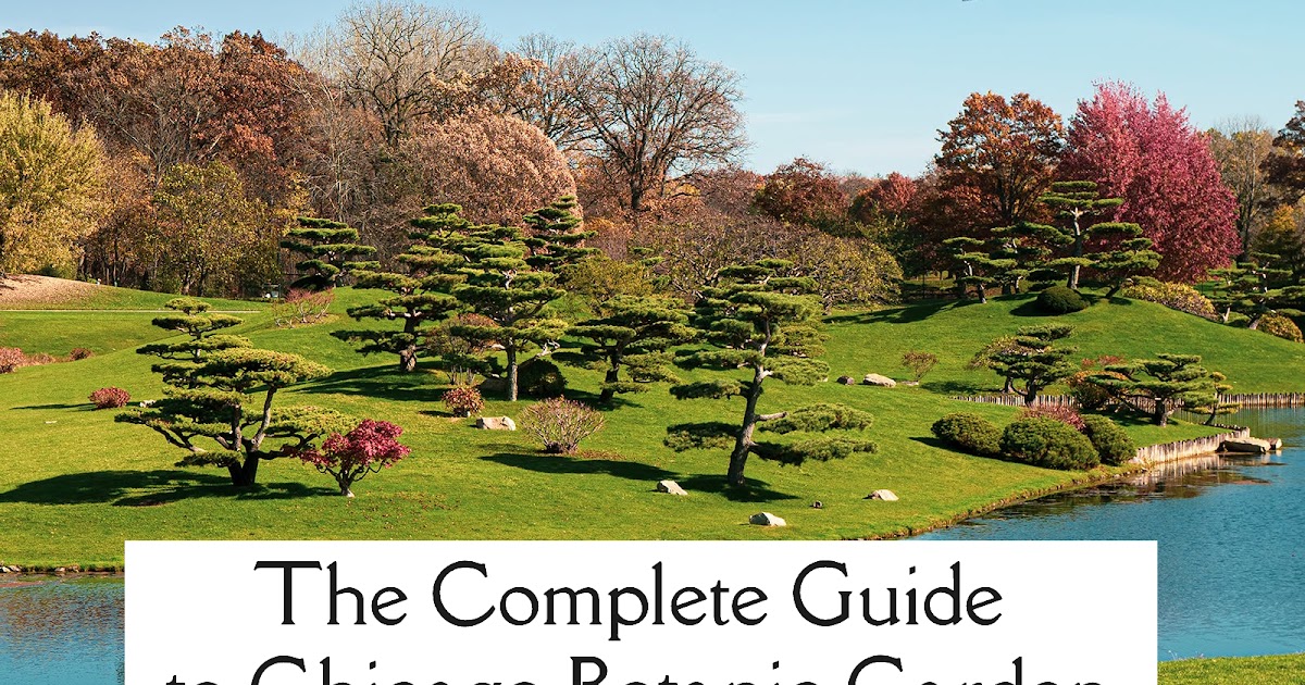 The Complete Guide to Chicago Botanic Garden