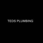 Ted s Plumbing profile picture