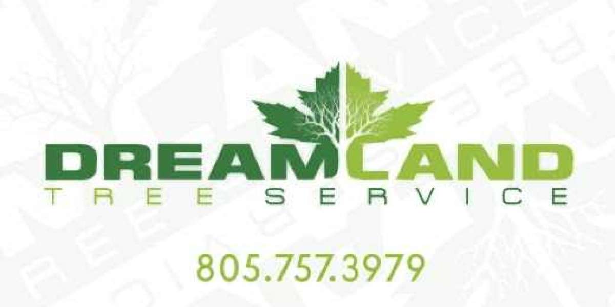 The Best Tree Removal Service in Santa Maria: Dreamland Tree Service