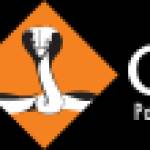 Cobra Carbide Profile Picture