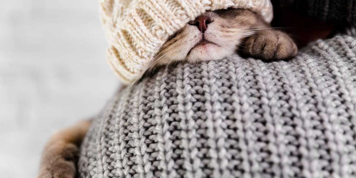 7 Adorable Knitting Projects for Your Pets