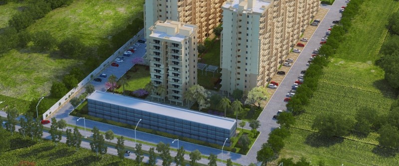 Affordable Housing: Rent vs Buy.