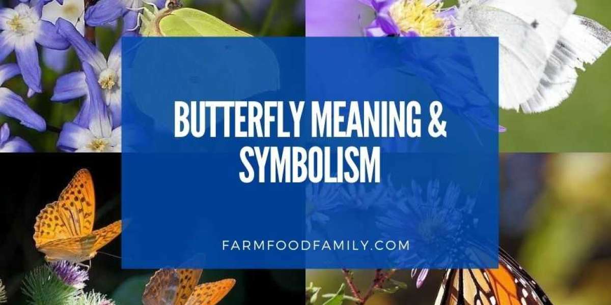 Various Kinds Of Butterflies Butterfly Spiritual Meaning