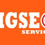 Big Seo Services Profile Picture