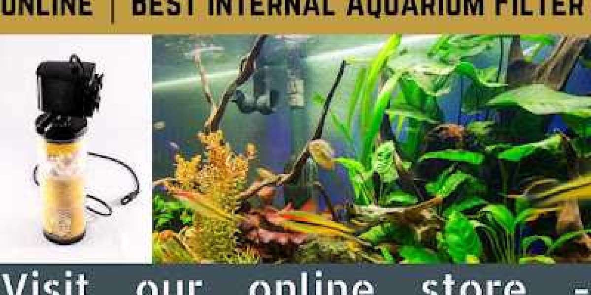 Best Internal Aquarium Filter What Does It Does? – S2V Marine Life