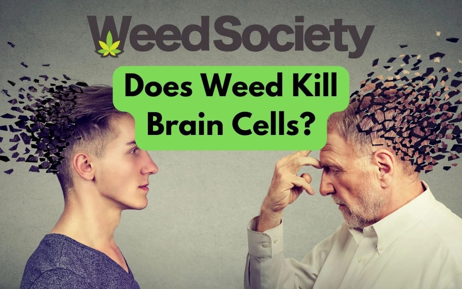 Does Weed Kill Brain Cells? | WeedSociety