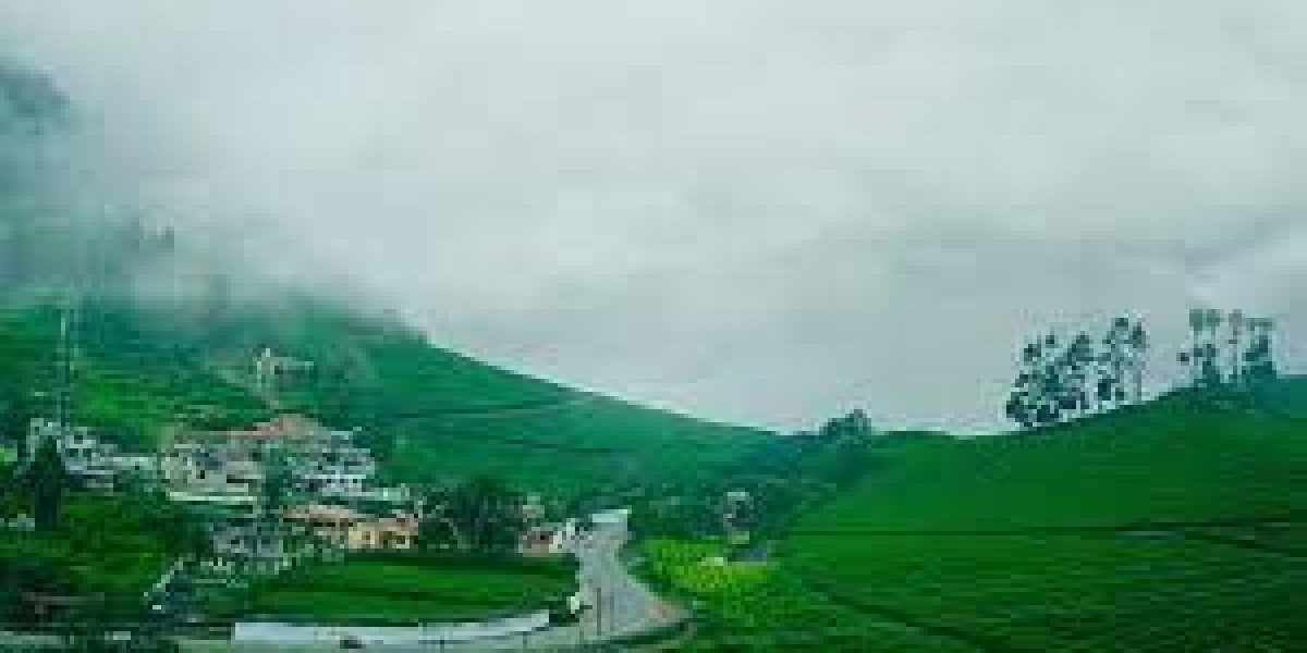 The top activities to do in Ooty are listed below.